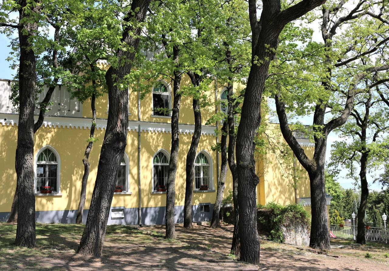 Sir David Balaton Castle Apartmanok Balatonszepezd Exterior photo